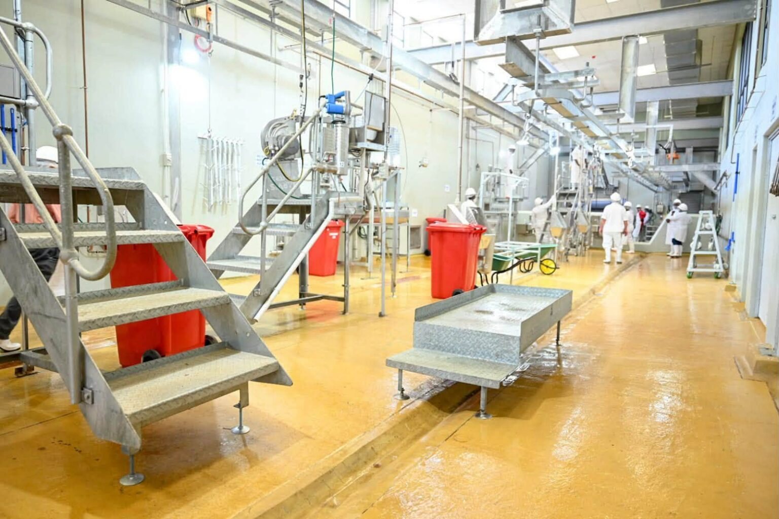 Interior of a compliant red-meat abattoir with stainless fittings