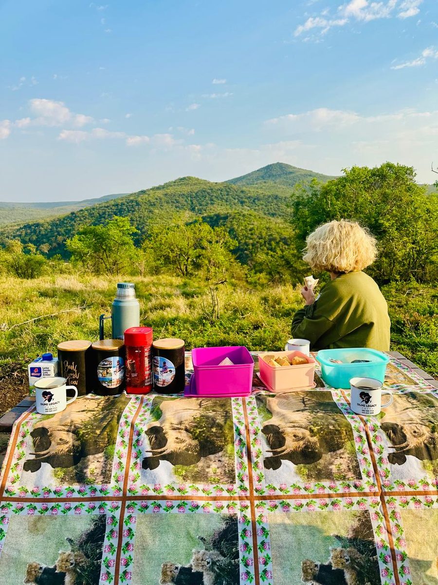 A bush breakfast laid out on a hilltop overlooking wooded valleys