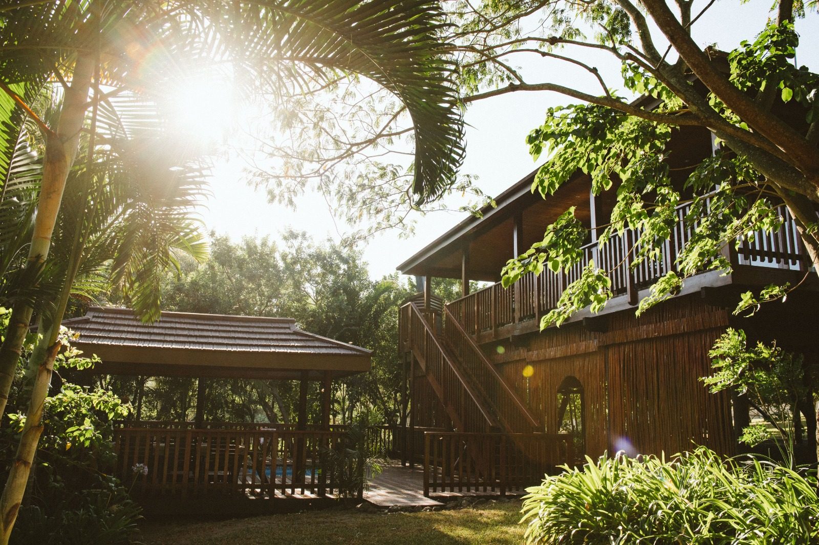 A timber lodge building set among tall indigenous forest trees