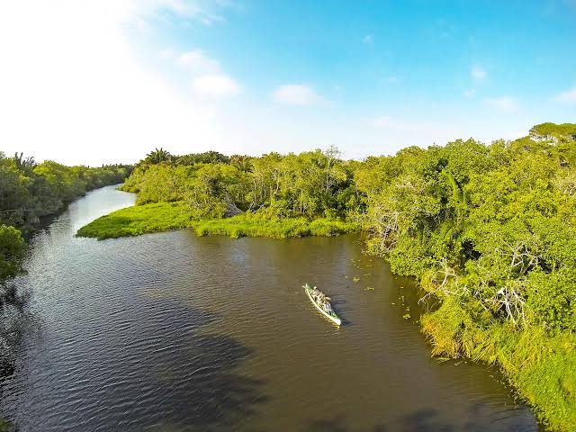 Aerial view of a narrow channel winding through dense green vegetation with a small boat on the water